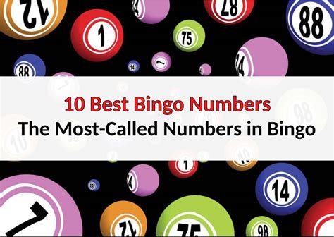 Bingo Numbers: What You Need To Know .